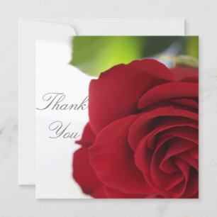Couleurs vives Rouge Rose Votre carte texte plat