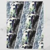 Couleurs vives vendant prospectus (Dos)