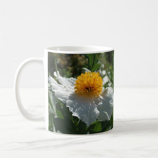 Coulter's Matilija Poppy Koffiemok (Links)