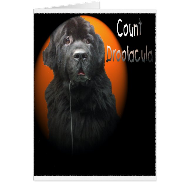 Count Droolacula de Newfoundland (Voorkant)