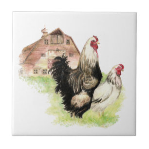 Country Chicken & Rooster Barn, Boerderij Scene Tegeltje