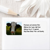 Country Cow Beef Étiquette de adresse de ferme (En situation)