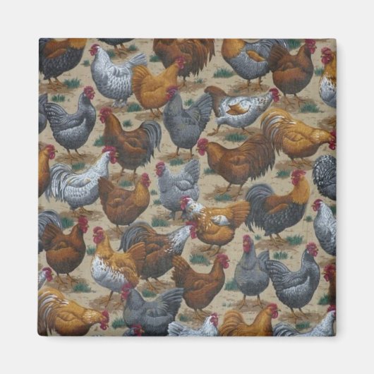 Country Fun Rosters & Hens Frigo Magnet (Devant)