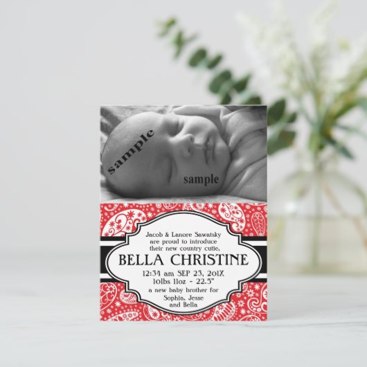 Country Paisley Nouveau bébé fille faire-part de n (Debout devant)