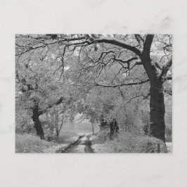 Country Road in Winter: Cheshire, Engeland Briefkaart