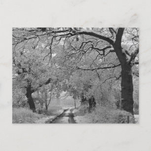Country Road in Winter: Cheshire, Engeland Briefkaart