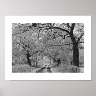Country Road in Winter: Cheshire, Engeland Poster