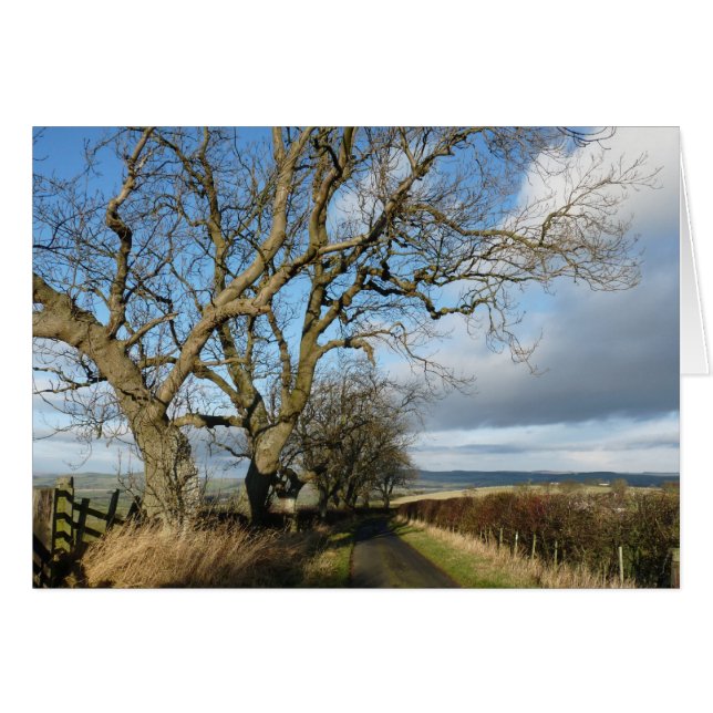 "Country Road" Northumberland Angleterre (Devant horizontal)