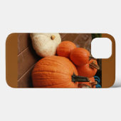 country scene close-up pompoenen sinaasappel en wi Case-Mate iPhone case (Achterkant (horizontaal))