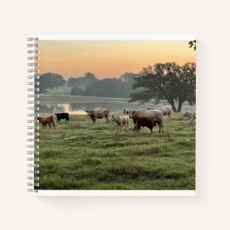 country scene spiraal Notitieboek