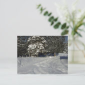 Country Snowy Driveway Briefkaart (Staand voorkant)