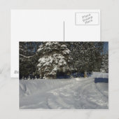 Country Snowy Driveway Briefkaart (Voorkant / Achterkant)