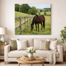 Country Weide Paard