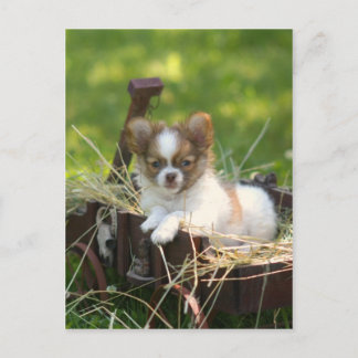 CountryBumpkin Briefkaart