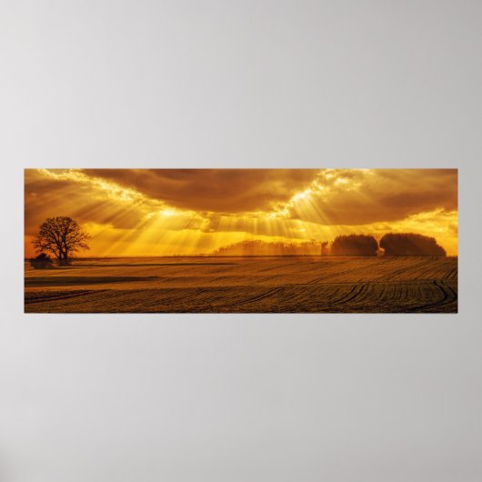 Countryside Sunset Panorama Poster (Voorkant)
