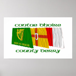 County Derry Flags Poster