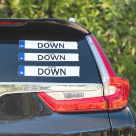 County Down Irish Reg Bord Decal Stickers x 3