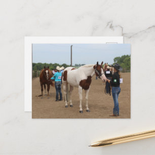 County Fair Showmanship Paints en Quarter Horses Briefkaart