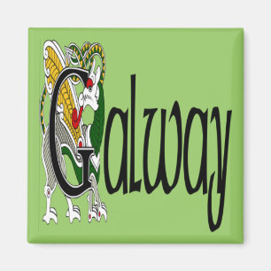 County Galway Magnet Magneet