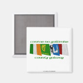 County Galway Vlaggen Magneet (Voorkant / Achterkant)