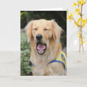 Coup dans là la carte de voeux (Fleur jaune)