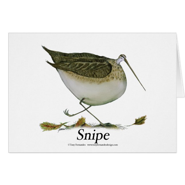 coup de feu, fernandes élégants (Devant horizontal)