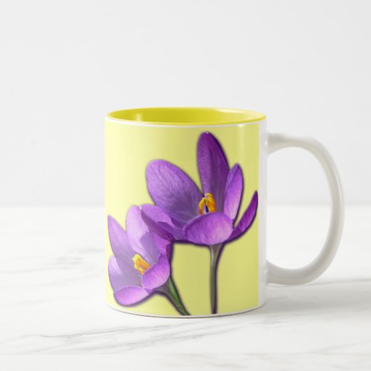 Coupe des Fleurs de Printemps de café de Mug Crocu (Droit)