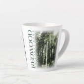 Coupe du café Redwood, Mug National Park (Angle droit)