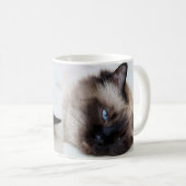 Coupe Siamese Cat Pet Mug Coffee Mug (Devant droit)
