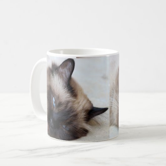 Coupe Siamese Cat Pet Mug Coffee Mug (Devant gauche)