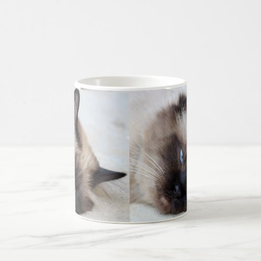 Coupe Siamese Cat Pet Mug Coffee Mug (Centre)