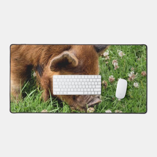COUPER (Clavier et souris)