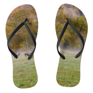 Couple d'élans paissant en tongs