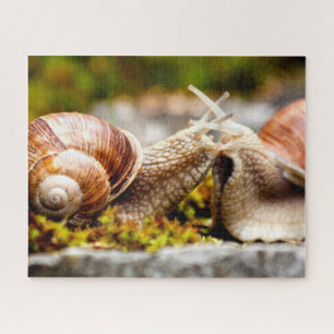 Couple d'escargot, Puzzle de Jigsaw