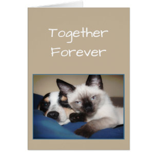 Couple Love FOREVER OU Fourrure-ever Chien & Chat 