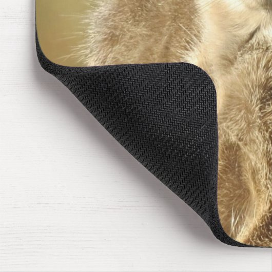 Couple of Meerkats Cute Photo Muismat (Hoek)