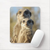 Couple of Meerkats Cute Photo Muismat (Met muis)