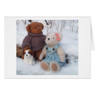 Couple teddy d'hiver avec chiot