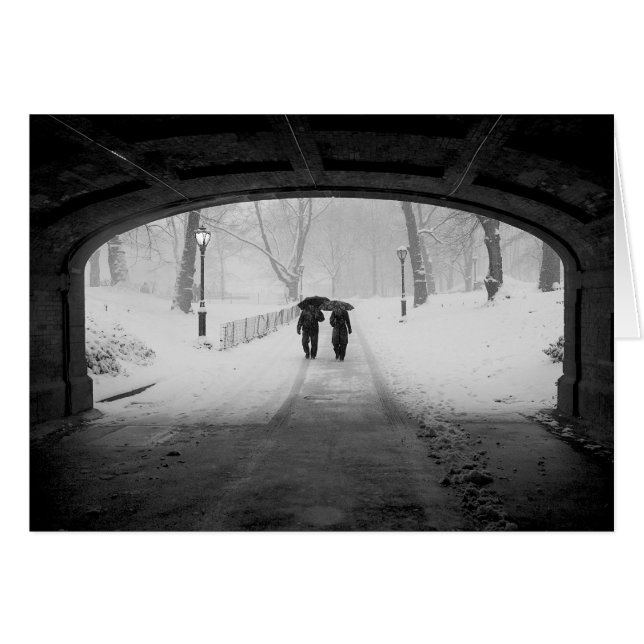 Couples dans la tempête de neige, Central Park (Devant horizontal)