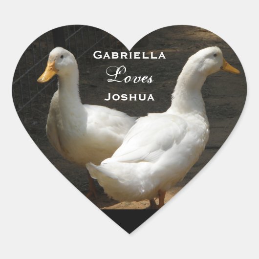 Couples de canard : Autocollants d'amour (Devant)