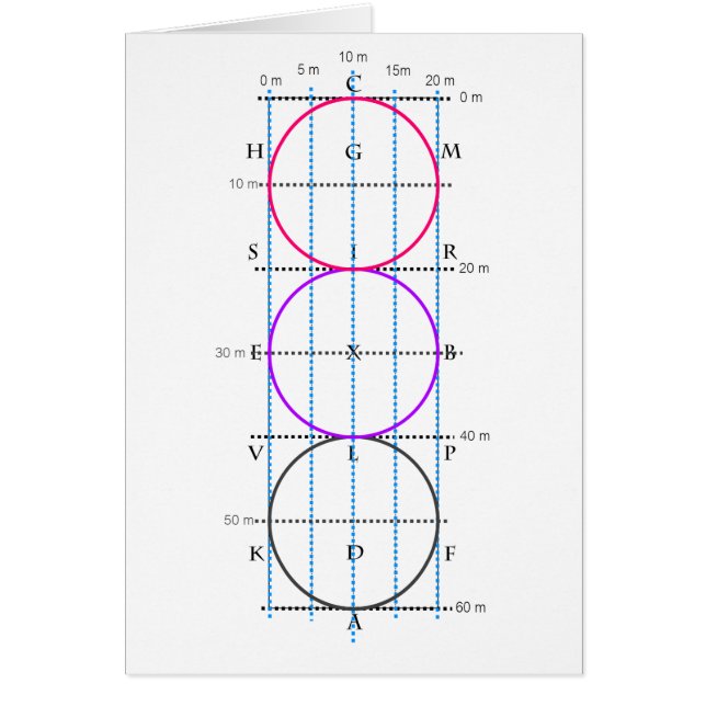 cour de dressage de 20x60m ** cercles ** (Devant)