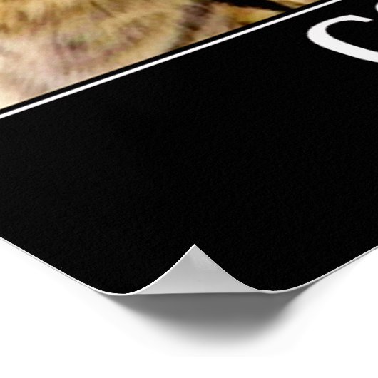 Courage_ Poster (Hoek)