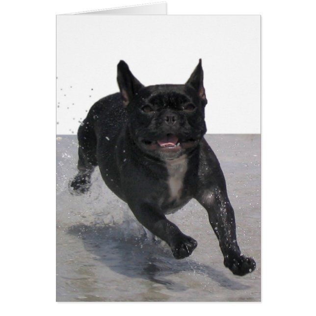 Courant sur la plage, Paris Merille (Devant)