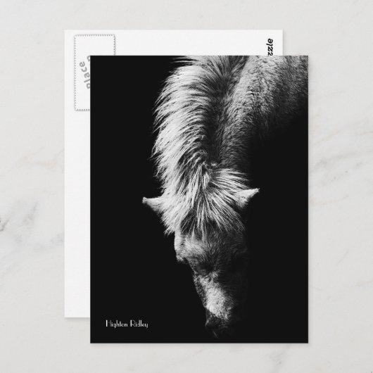 Courbe De La Carte postale Cou (Devant / Derrière)