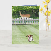 Courir Basset & Cerf Sur Une Carte D'Anniversaire  (Fleur jaune)