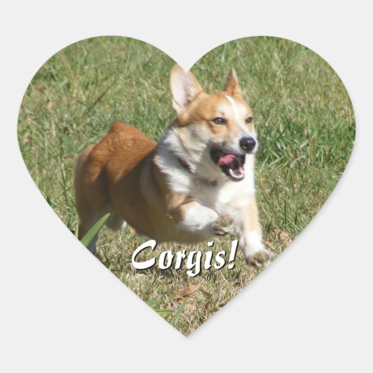 Courir Des Stickers Corgi (Devant)