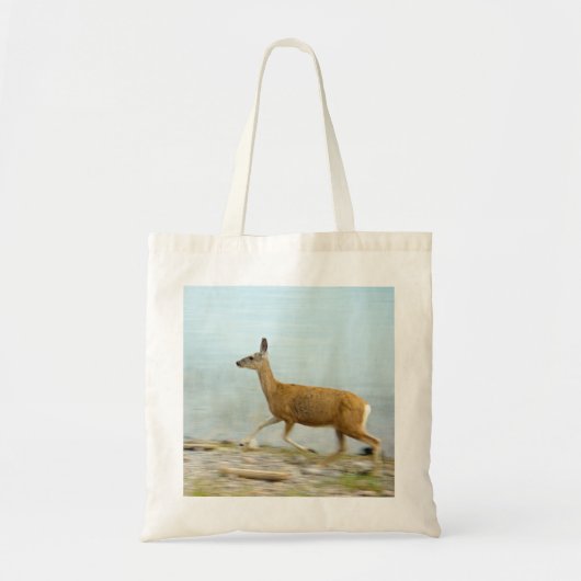 Courir le sac à dos (Devant)