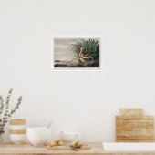 Courlis à long bec par Audubon Poster (Cuisine)