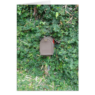 Courrier dans le paradis