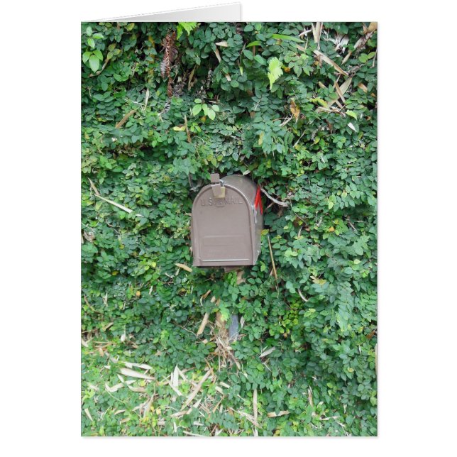 Courrier dans le paradis (Devant)